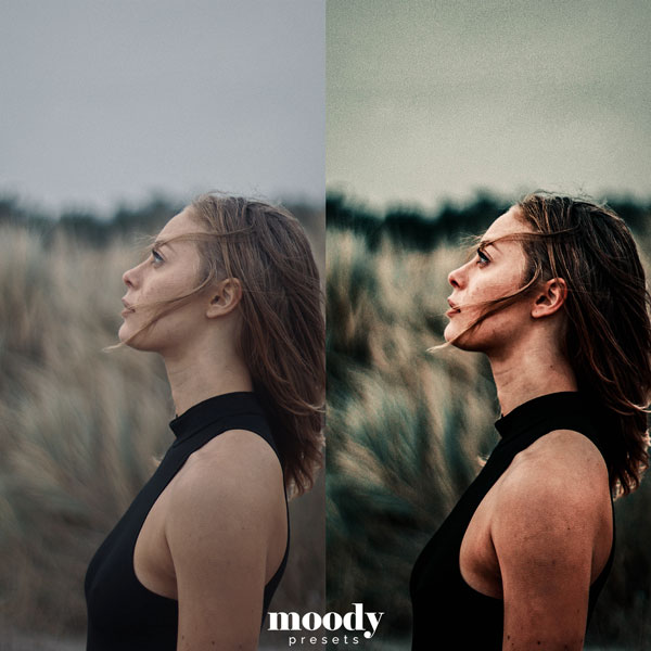 Moody presets bundle pack 60 presets 4 102 2